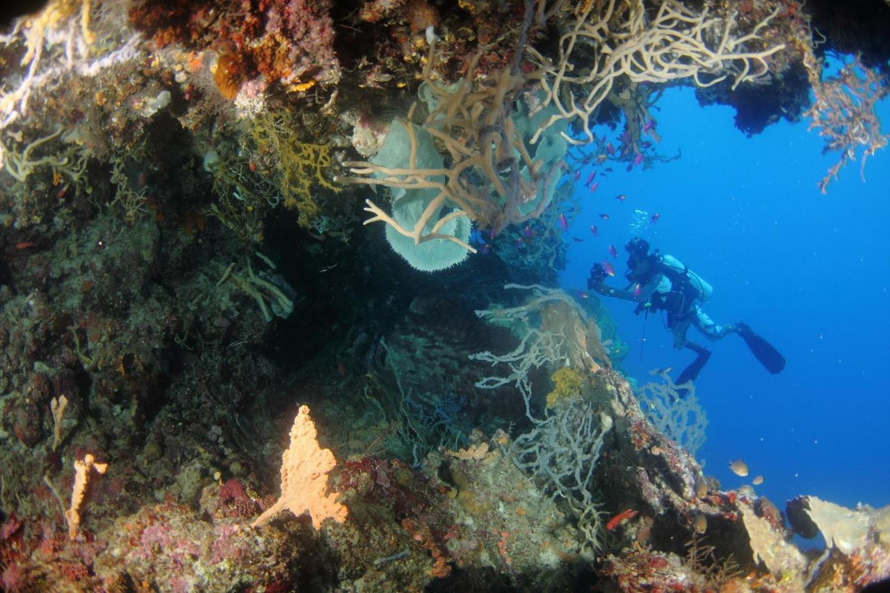 Araya Dive Resort Togean Bomba Kültér fotó