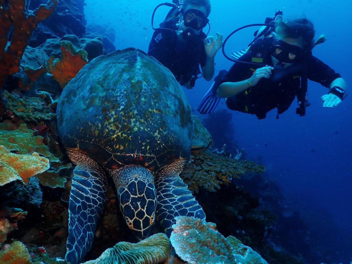 Araya Dive Resort Togean Bomba Kültér fotó