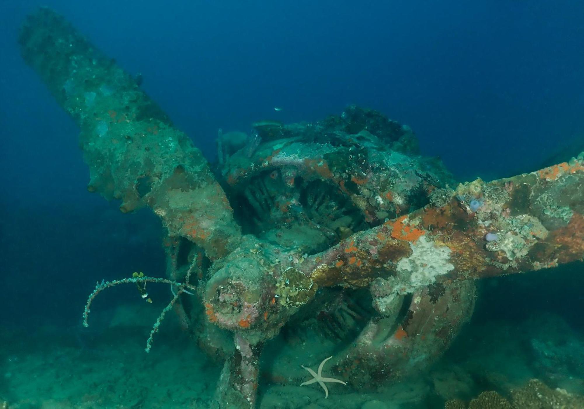 Araya Dive Resort Togean Bomba Kültér fotó